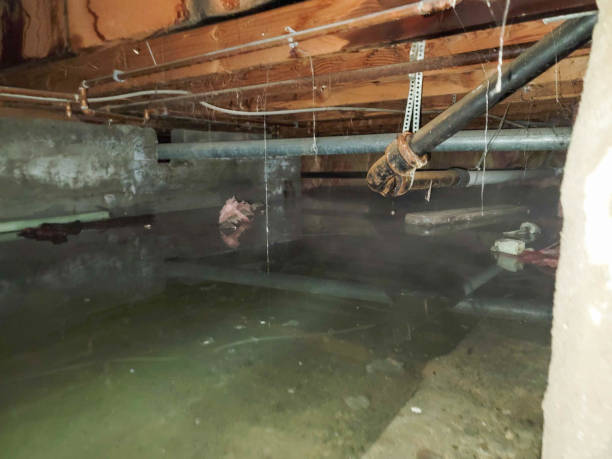 Best 24-hour water damage restoration  in Washington, IL