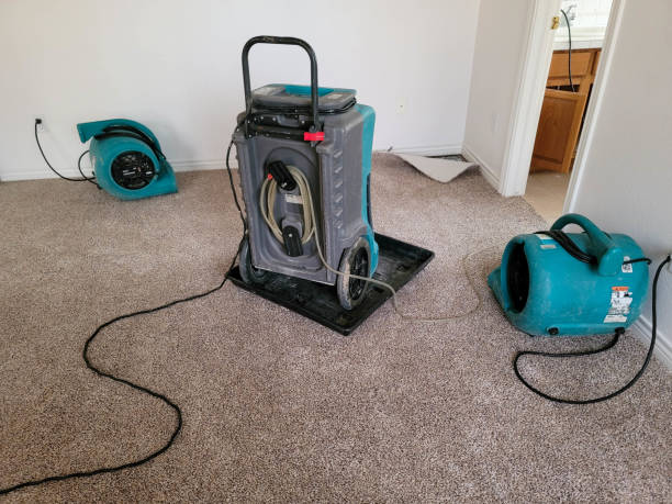 Best Water damage restoration process  in Washington, IL