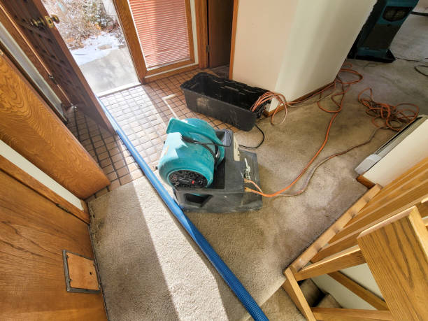 Best Water damage contractors near me  in Washington, IL