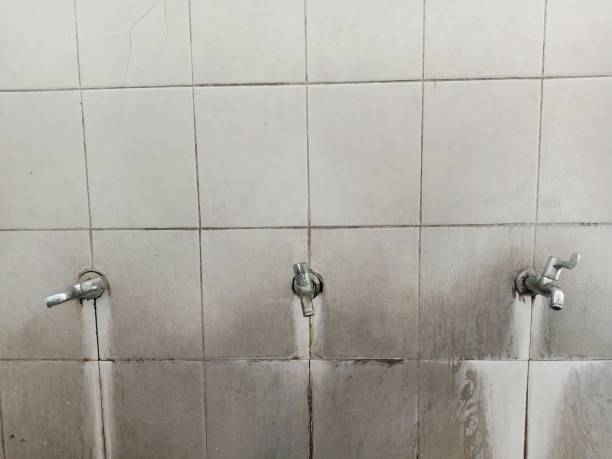 Best 24/7 water damage repair  in Washington, IL