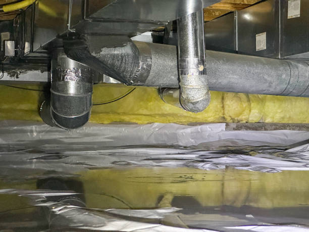 Best Local water damage restoration  in Washington, IL